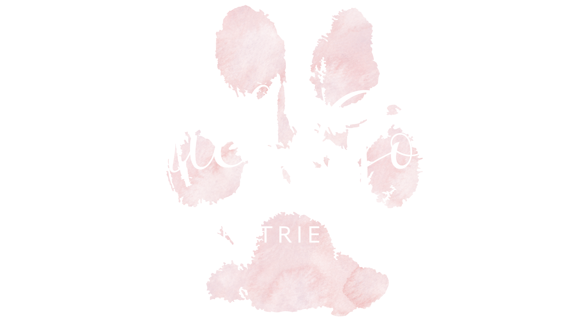 Einrich Golden - Golden Retriever Zucht